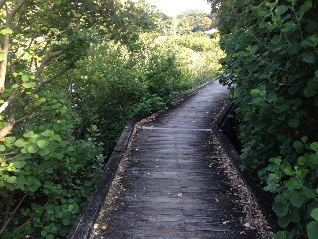 Retreat Wabi-Sabi - Walk To Ohama Beach - Max 12 Ppl Shimoda  Zewnętrze zdjęcie